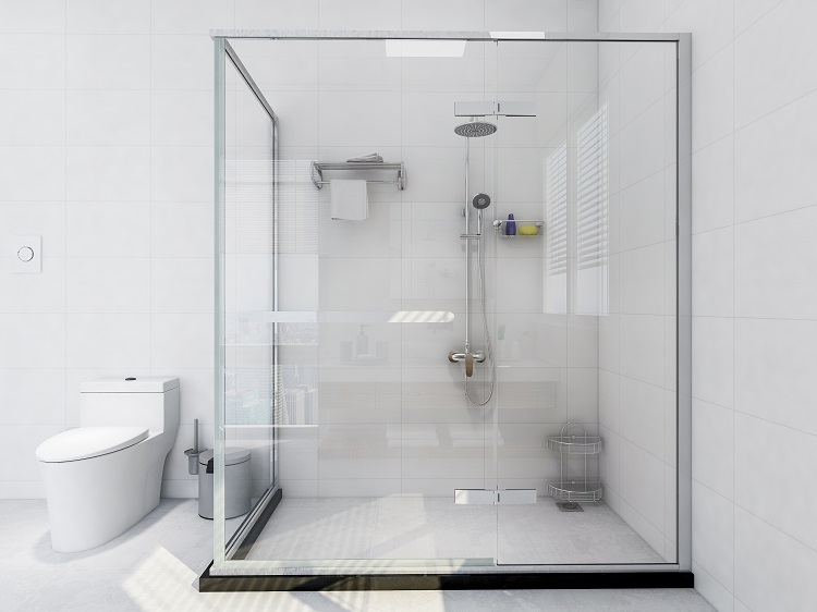 Glass Shower Doors
