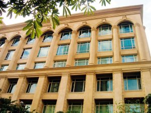 All You Need to know about Green Tinted Glass